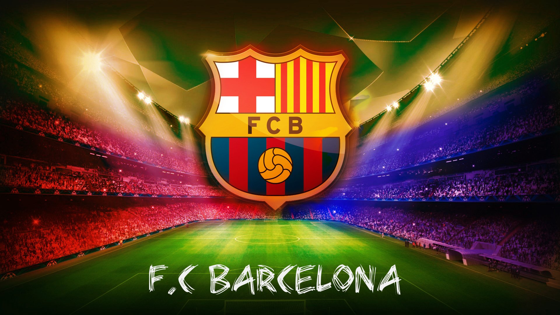 职业运动员的日常:训练与比赛双重挑战,职业运动员vs业余